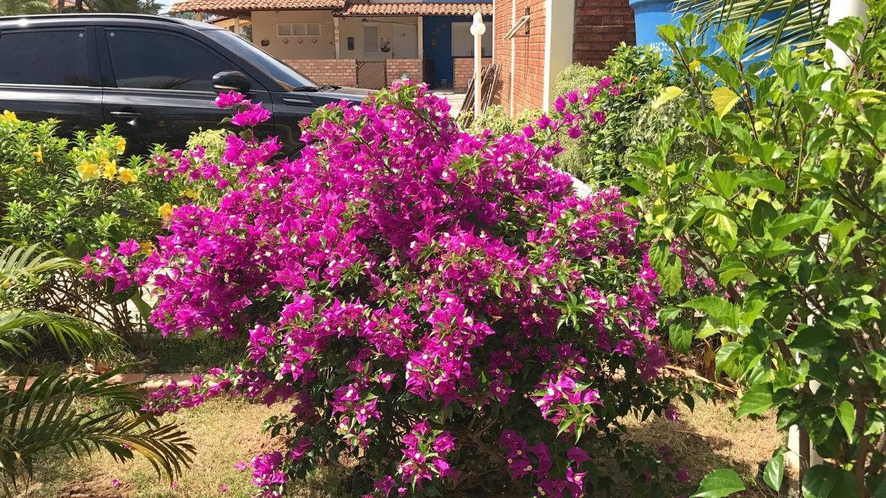 Chale Temporada Porto Dos Lencois - Lencois Maranhenses Villa Barreirinhas Exteriör bild